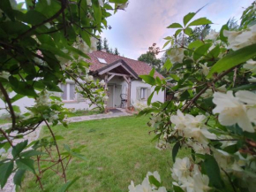 Dom na Warmii -Siedlisko Mozaika in Pieniężno